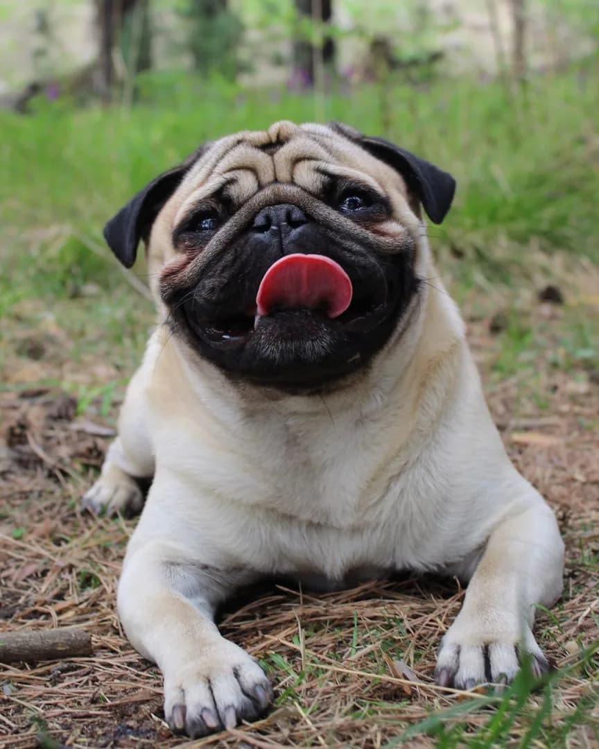 event highlight image